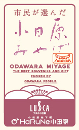 meishi_odawaramiyage