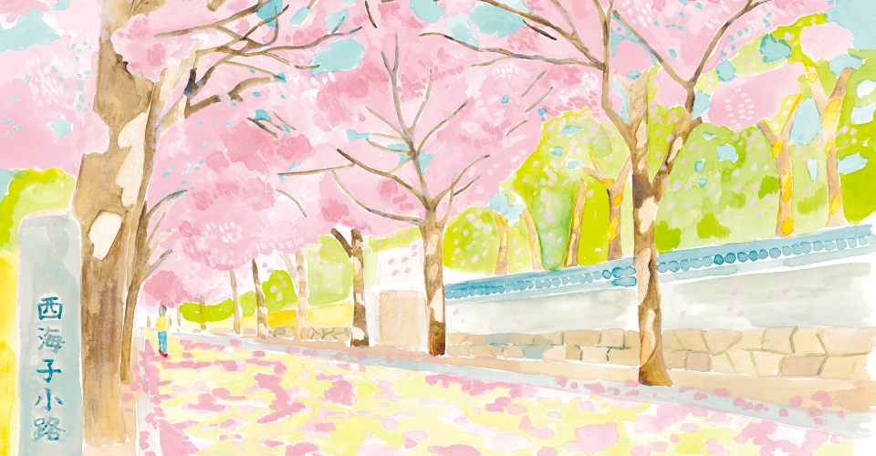 第5次小田原市総合計画　おだわらTRYプラン　後期基本計画　本編