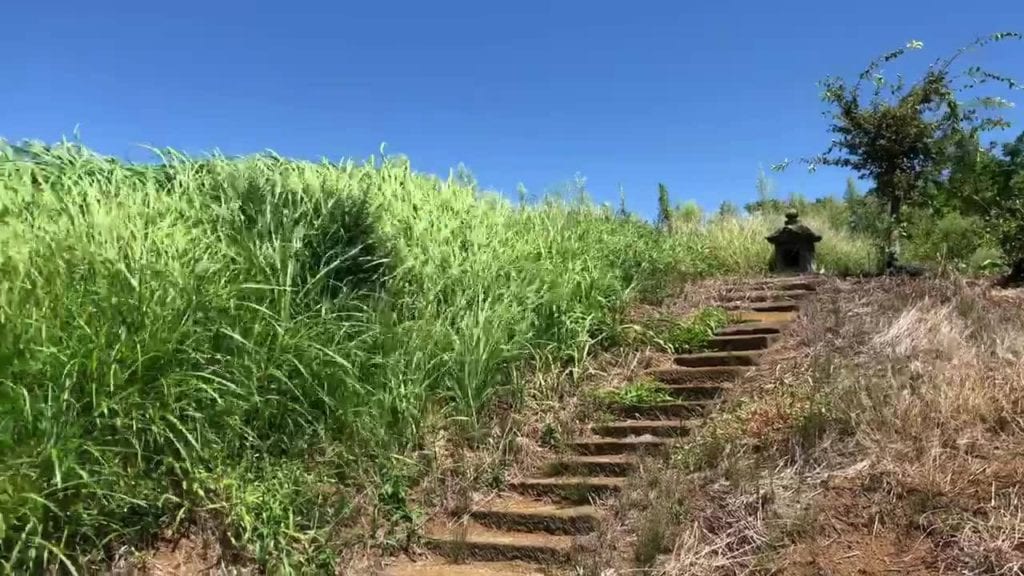 中井町の人々の思いを感じました。