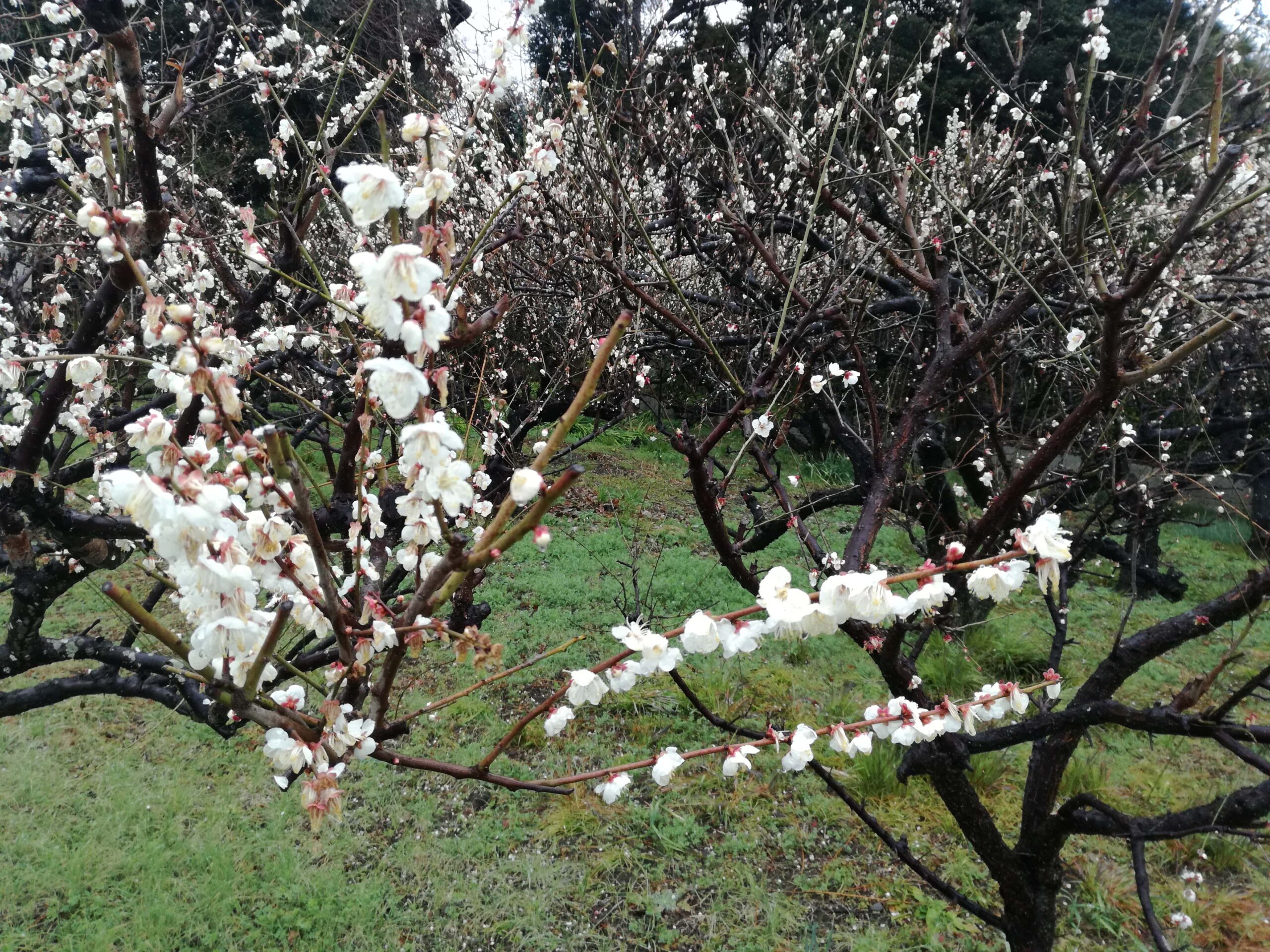 おだわらのいいところ72