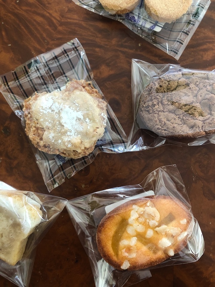 きのうのこねこ